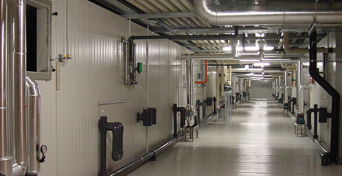 建設一個蔬菜氣調冷庫要多少錢？